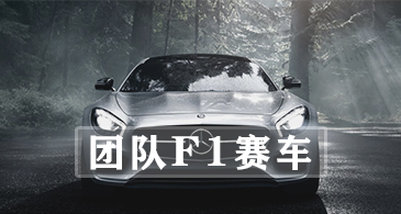 团队F1赛车